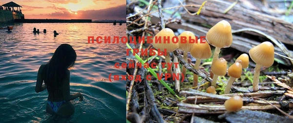 наркотики Кодинск
