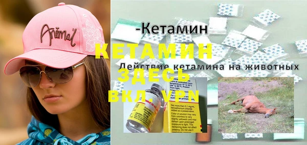 твердый Лагань