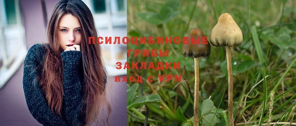 СК Кулебаки
